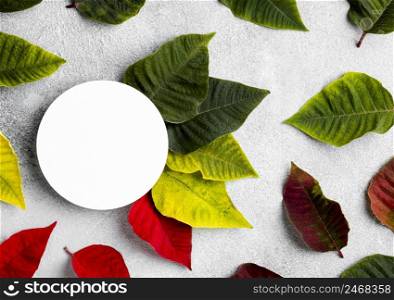 flat lay composition colorful leaves 2