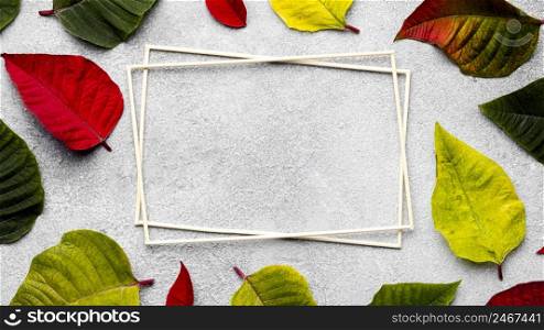 flat lay composition colorful leaves with empty frames 2