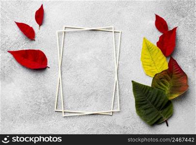 flat lay composition colorful leaves with empty frames