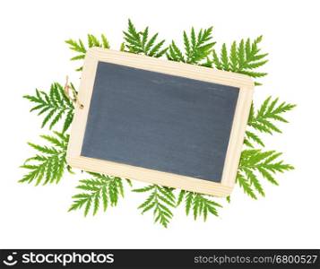 Flat lay composition consisting of a blank blackboard for notes, surrounded by green leaves, isolated on white background; top view, overhead view