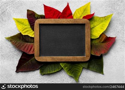 flat lay composition leaves with empty blackboard
