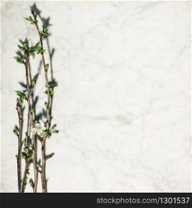 Flat lay composition with beautiful spring cherry branches on white marble background. Copy space
