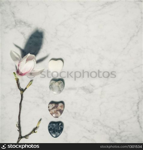 Flat lay composition with beautiful spring magnolia flowers and grey stones on white marble background.