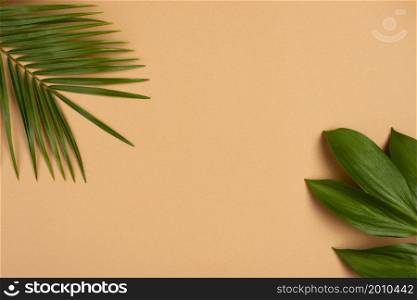 flat lay different plant leaves with copy space