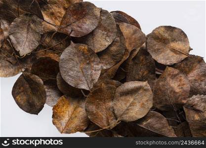 flat lay dry leaves 14