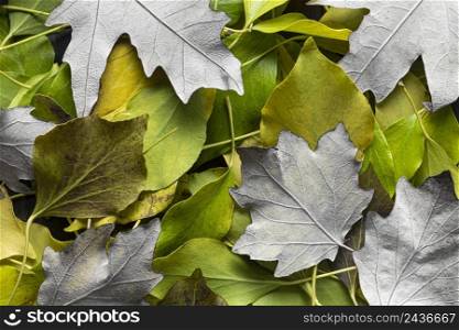 flat lay dry leaves 17