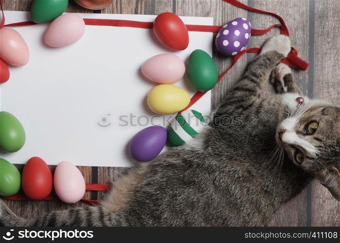 Flat-lay Easter eggs on wooden table with cute cat