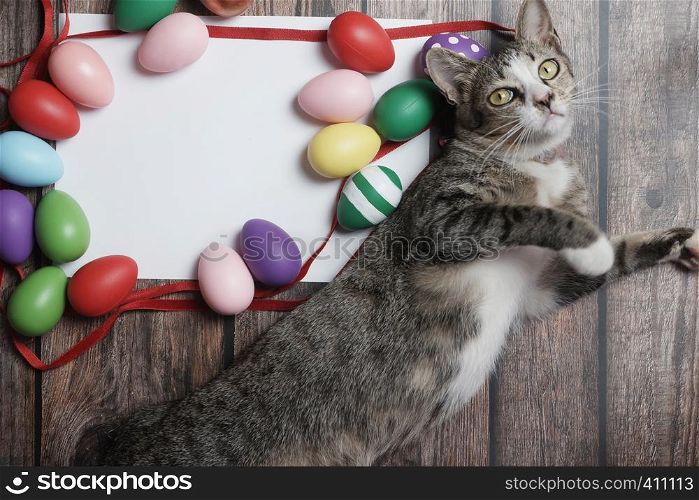 Flat-lay Easter eggs on wooden table with cute cat