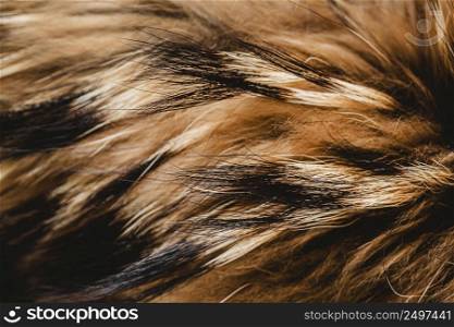 flat lay fluffy dog hair wallpaper