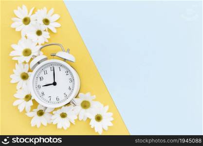 flat lay frame with clock daisies. High resolution photo. flat lay frame with clock daisies. High quality photo
