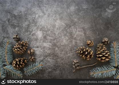 flat lay frame with fir tree twigs copy space