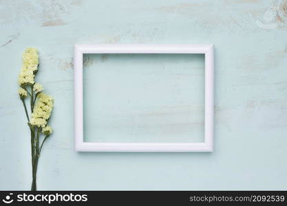 flat lay frame with floral concept