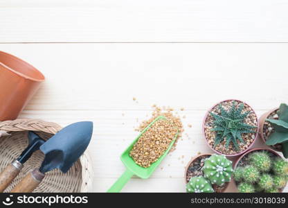 Flat lay gardening table with Cactus plants in pot and garden tools