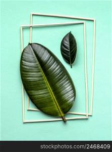 flat lay green leaves arrangement with frames