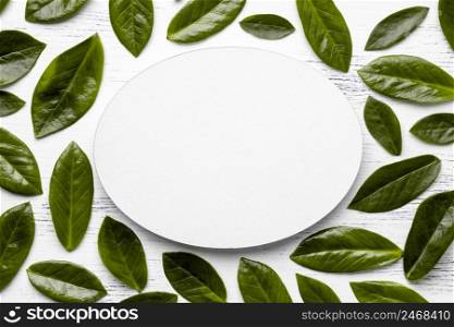 flat lay green leaves arrangement with round empty object