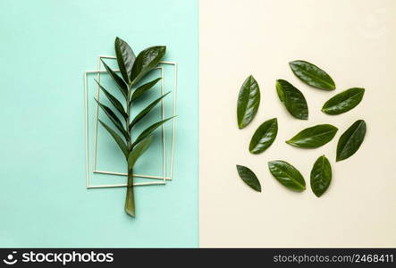 flat lay green leaves assortment 2