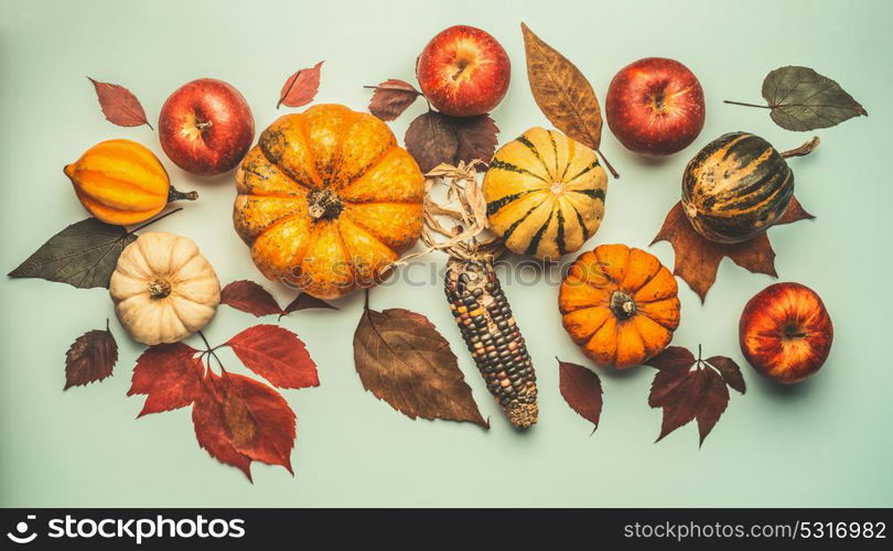 Flat lay of autumn composition with various pumpkin, fall leaves, apples and corn, top view. Creative autumn layout