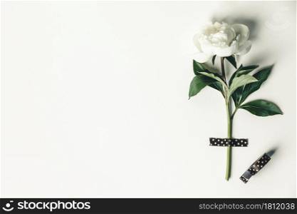 Flat-lay of Beautiful peony flower taped on white background - Minimal flat lay concept, top view