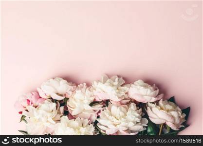 Flat-lay of Beautiful peony flowers over pink background, top view, copy space, summer floral concept.