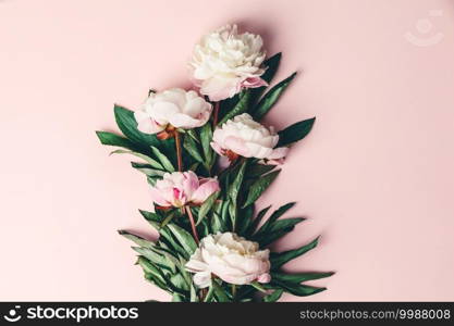 Flat-lay of Beautiful peony flowers over pink background, top view, copy space,  summer floral concept.