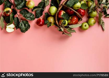 Flat-lay of fresh apples with leaves and branches on pink background. Top view. Local farmers market produce. Flat-lay of fresh apples with leaves and branches on pink background