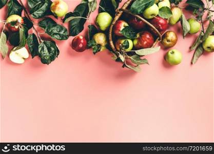 Flat-lay of fresh apples with leaves and branches on pink background. Top view. Local farmers market produce