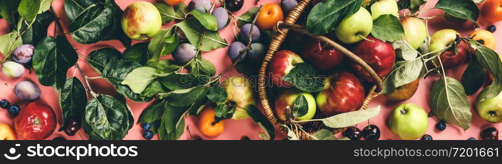 Flat-lay of fresh fruits and berries with leaves and branches on pink background. Top view. Local farmers market produce