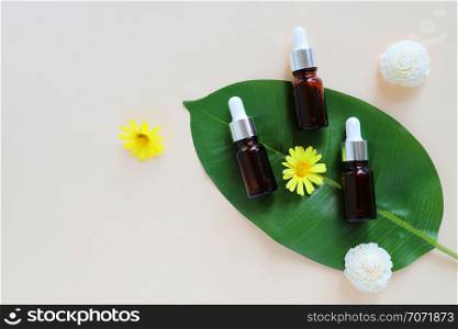 Flat lay of organic aromatherapy oils and beauty products for mock up with green leaves in minimal style