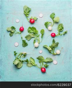 Flat lay of organic white and red radishes with green leaves , top view