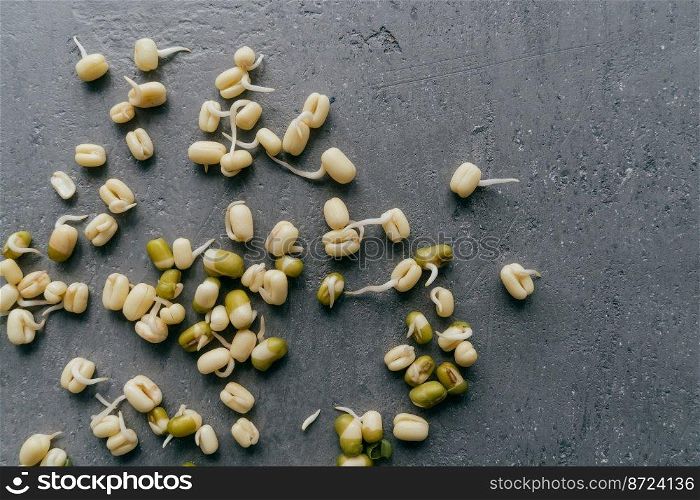 Flat lay of sprouted mung beans for culinary use, isolated over grey background. Fresh organic vegan food. Healthy nutrition concept