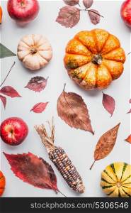 Flat lay of various colorful pumpkin, apples and fall leaves on white table background, top view. Autumn composing or pattern background , flat lay