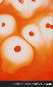 flat lay orange liquid wallpaper