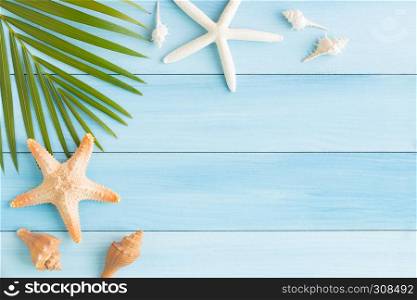 Flat lay photo saeshell and starfish on blue wood table, top view and copy space for montage your product, summer concept