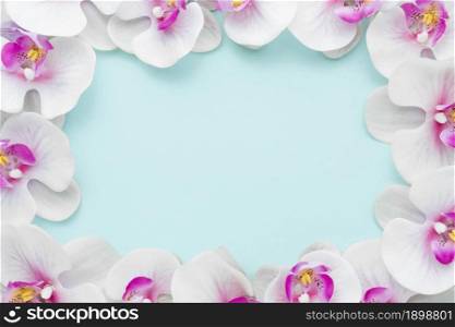flat lay pink orchids frame. Resolution and high quality beautiful photo. flat lay pink orchids frame. High quality beautiful photo concept