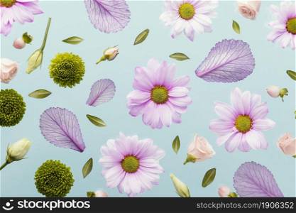flat lay spring daisies leaves. High resolution photo. flat lay spring daisies leaves. High quality photo