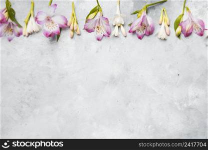 flat lay spring orchids with copy space