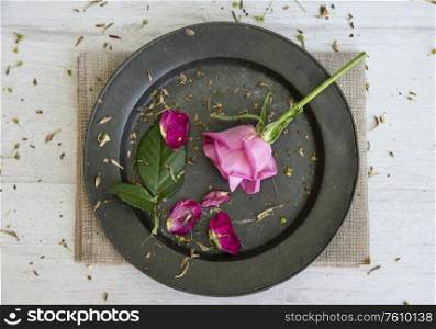 Flat lay top down view image of romantic vintage look of flower petals still life on rustic old worn background
