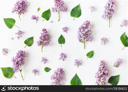 Flat lay top view photo of a pattern made of a lilac flowers, leaves and petals. Naturals rustic spring photography.. Flat lay top view photo of a pattern made of a lilac flowers, leaves and petals.