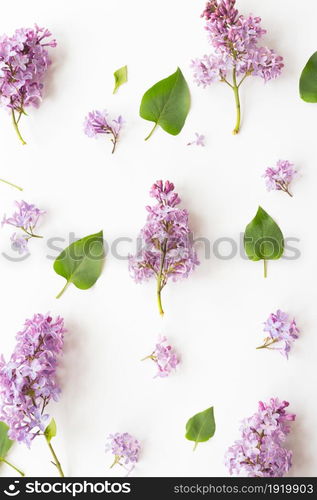 Flat lay top view photo of a pattern made of a lilac flowers, leaves and petals. Naturals rustic spring photography.. Flat lay top view photo of a pattern made of a lilac flowers, leaves and petals.