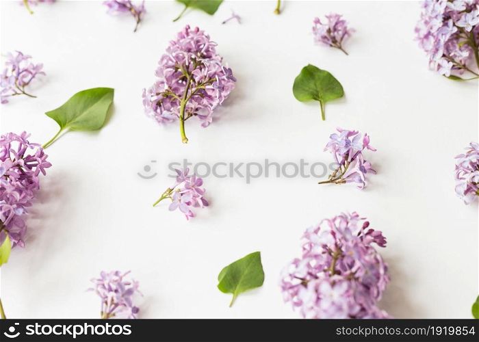 Flat lay top view photo of spring composition. Wreath made of lilac flowers on white background. Summery floral frame.. Flat lay top view photo of spring composition.