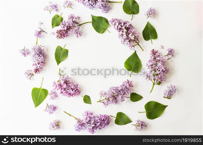 Flat lay top view photo of spring composition. Wreath made of lilac flowers on white background. Summery floral frame.. Flat lay top view photo of spring composition.
