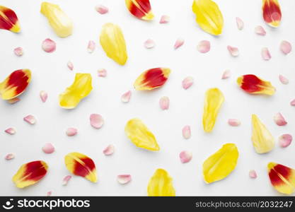 flat lay tulip petals