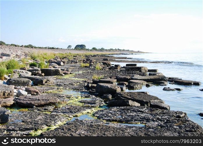 Flat limestone rock coast at the swedish island Oland in the Baltic Sea