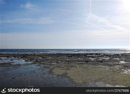 Flat rock coast at the coast of Baltic Sea at the swedish island Oland