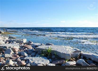 Flat rock coastal view at the swedish island Oland in the Baltic sea