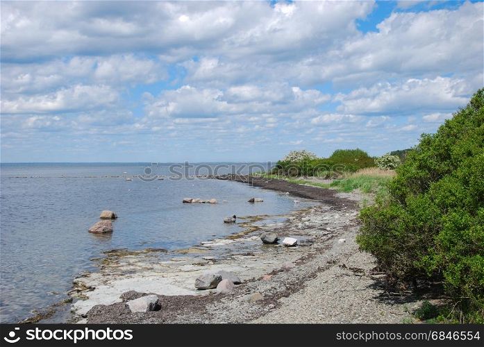 Flat rock coastline at the swedish island Oland in the Baltic Sea. Flat rock coastline