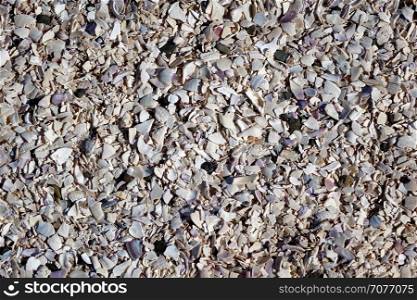 Flat view of pathway consisting of finely crushed seashells