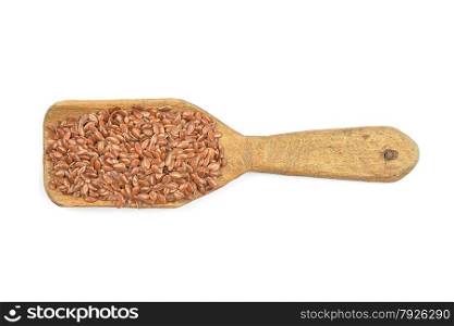 Flax seed on shovel