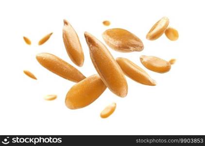 Flax seeds are levitated on a white background.. Flax seeds are levitated on a white background