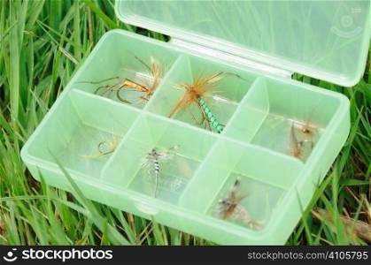 Flies for fishing in a box